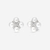 Assael 18K White Gold Diamond & South Sea Cultured Pearl Earrings E7078 - THE SOLIST