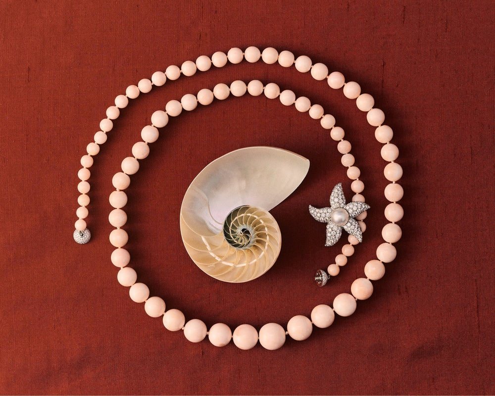 5 Reasons Why The Solist Is the Smarter Choice for Black Friday