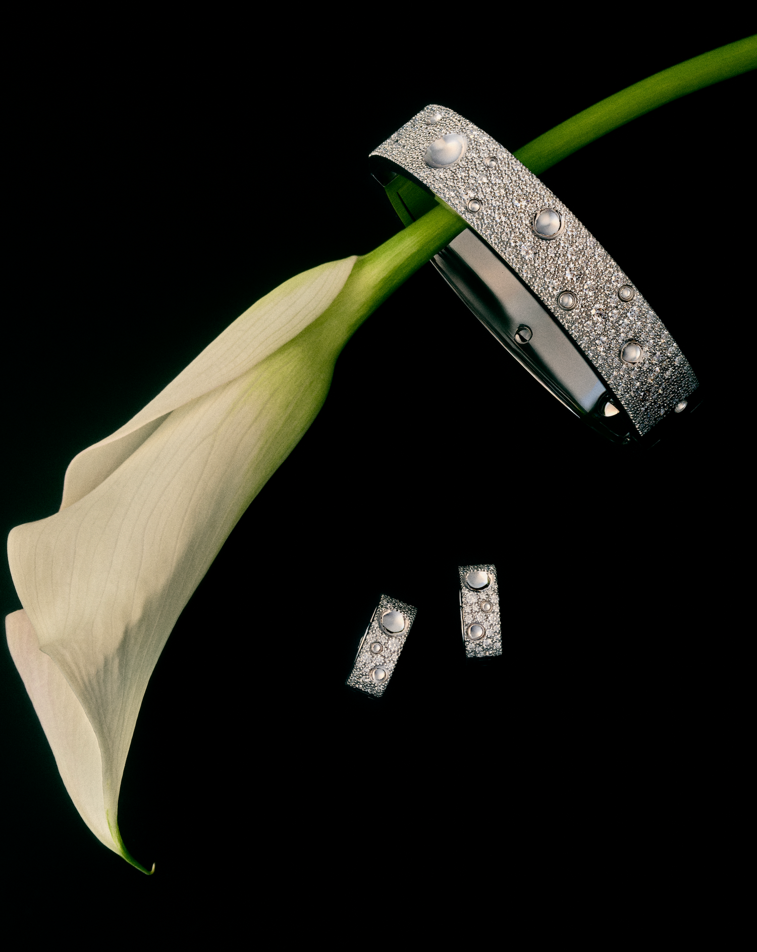 Statement Pieces - THE SOLIST