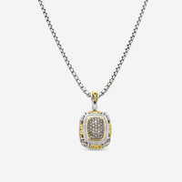Charles Krypell Sterling Silver and 18k Yellow Gold, Brown and White Diamond Pendant Necklace 4-6442-SBRP