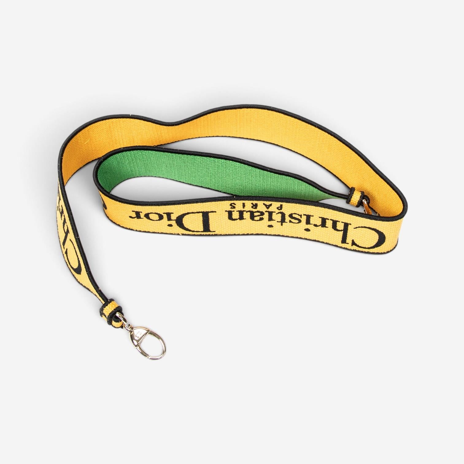 Dior Lady D-Lite Yellow & Green Embroidered Canvas Medium Bag ABC1290