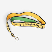 Dior Lady D-Lite Yellow & Green Embroidered Canvas Medium Bag ABC1290
