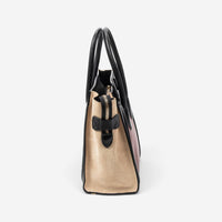 Celine Black/Maroon/Beige Calfskin Leather Micro Luggage Tote Bag ABC3719