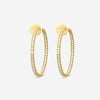 Memoire - 18K YG Classics Hoops Approx 10.6 gr - CHHO205 - THE SOLIST