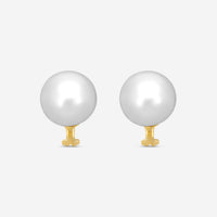 Assael 18K Yellow Gold South Sea Cultured Pearl Clip-On Earrings E6973