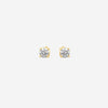 Ina Mar 14K Yellow Gold Diamond Stud Earrings KE303940