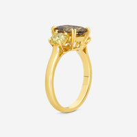 ASSAEL - Fancy Brown Diamond Ring; Emerald Cut Fancy Brown Diamond 2.66 cts, 2 FY Rd Diamonds 0.86 cts, 18KY, Sz 6 - R2946 - THE SOLIST