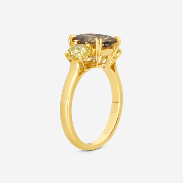 ASSAEL - Fancy Brown Diamond Ring; Emerald Cut Fancy Brown Diamond 2.66 cts, 2 FY Rd Diamonds 0.86 cts, 18KY, Sz 6 - R2946 - THE SOLIST