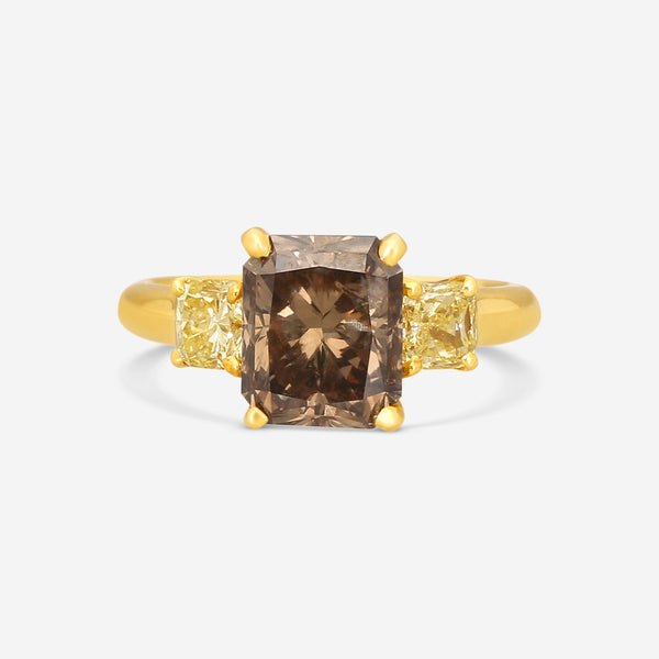 ASSAEL - Fancy Brown & Yellow Diamond Ring; Single Emerald Cut Brown Diamond 3.18 ct, 2 Radiant Cut Yellow Diamonds 0.86 cts, 18KY, Sz 5.75 - R2948 - THE SOLIST