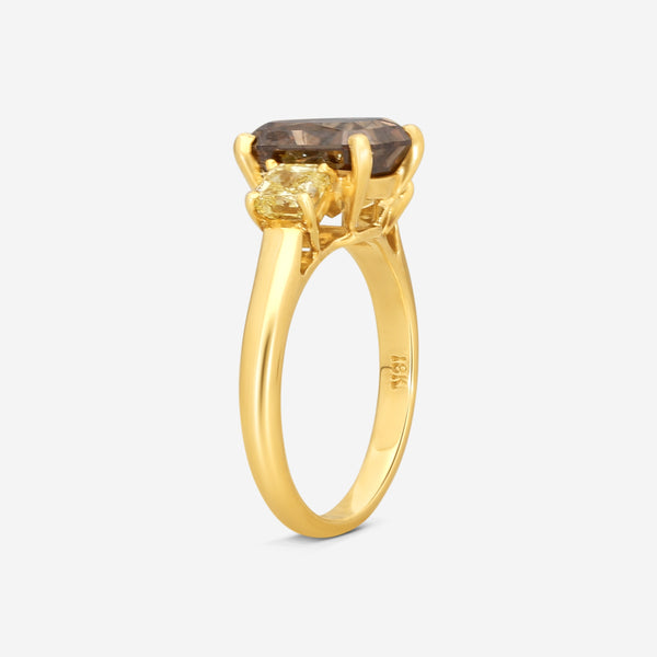 ASSAEL - Fancy Brown & Yellow Diamond Ring; Single Emerald Cut Brown Diamond 3.18 ct, 2 Radiant Cut Yellow Diamonds 0.86 cts, 18KY, Sz 5.75 - R2948 - THE SOLIST