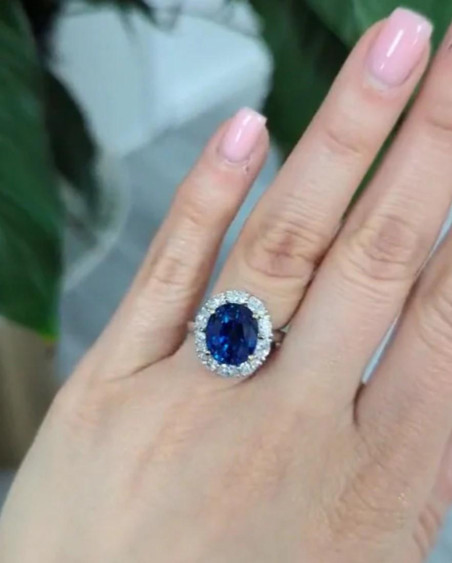 Diana M. Jewels Platinum Sapphire & Diamond Statement Ring SDR671
