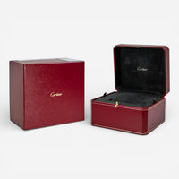 Cartier Santos Medium Steel Diamond Automatic Unisex Watch W4SA0005 - THE SOLIST