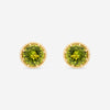 Nanis 18K Yellow Gold Peridot Stud Earrings OA19 - 560 - THE SOLIST - Nanis